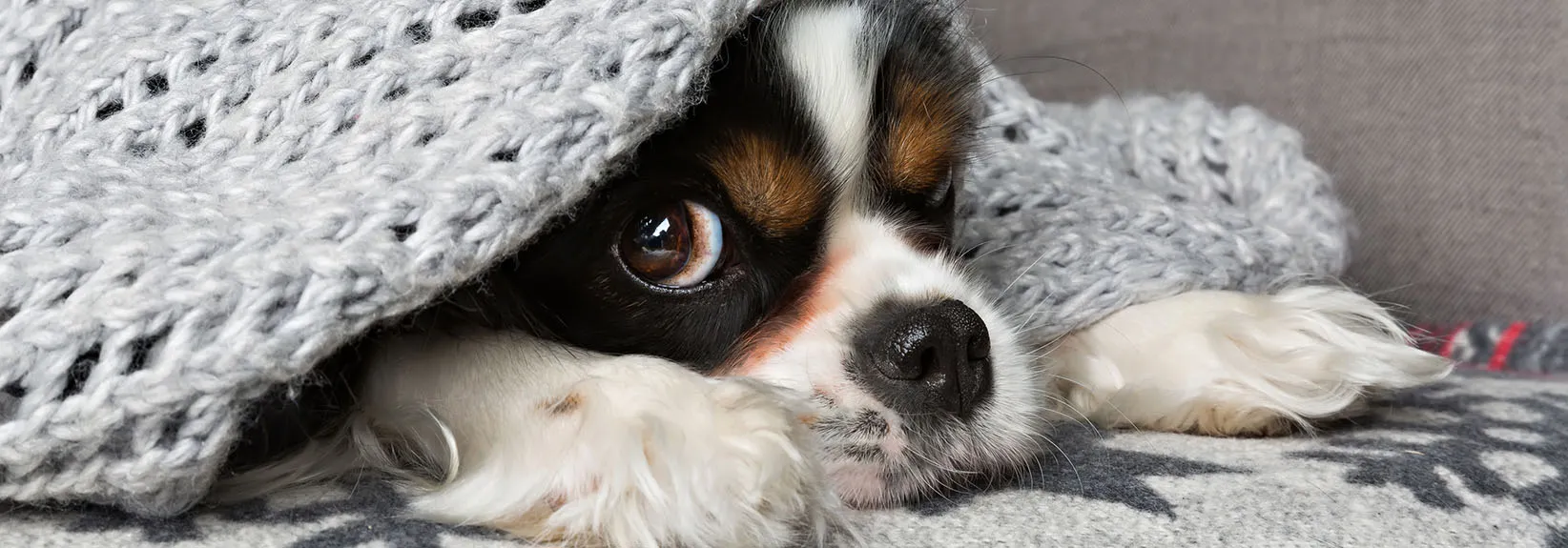 How Can You Tell If You Have a Faulty Furnace Ignitor? blog image