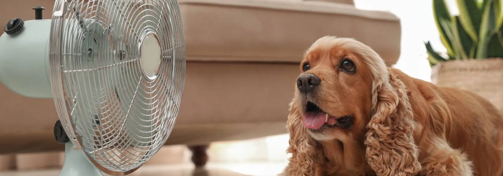 Don’t Neglect Your Air Conditioner this Winter blog image